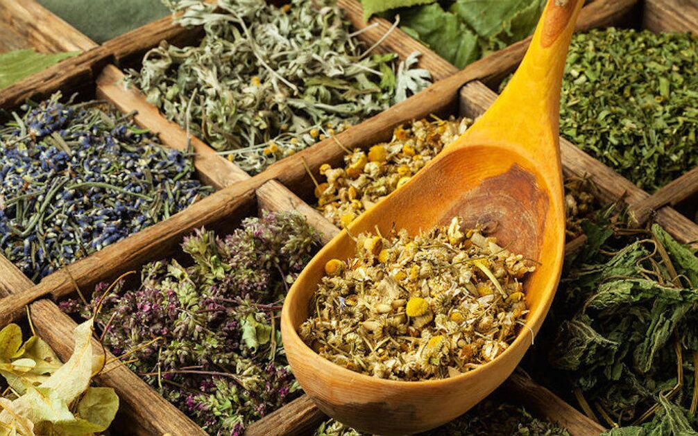 herba kering melawan parasit dalam badan